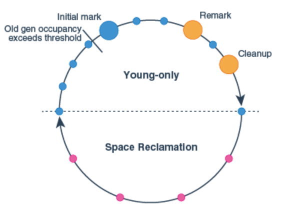 G1 GC cycle