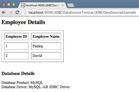 Tomcat DataSource JNDI Example MySQL