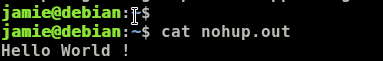 Cat nohup out
