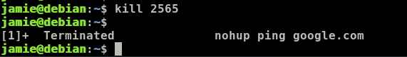 Kill nohup PID