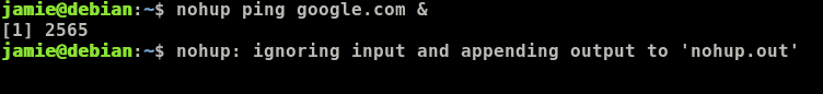 Nohup run process in the background