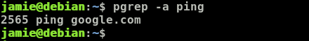 Pgrep ping google