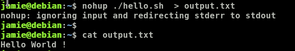 Redirect nohup output to a txt file