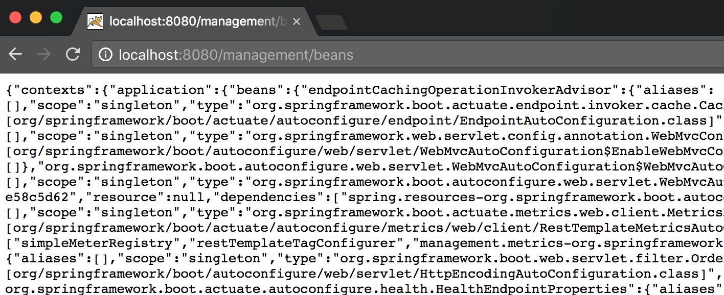 Spring boot actuator endpoint beans