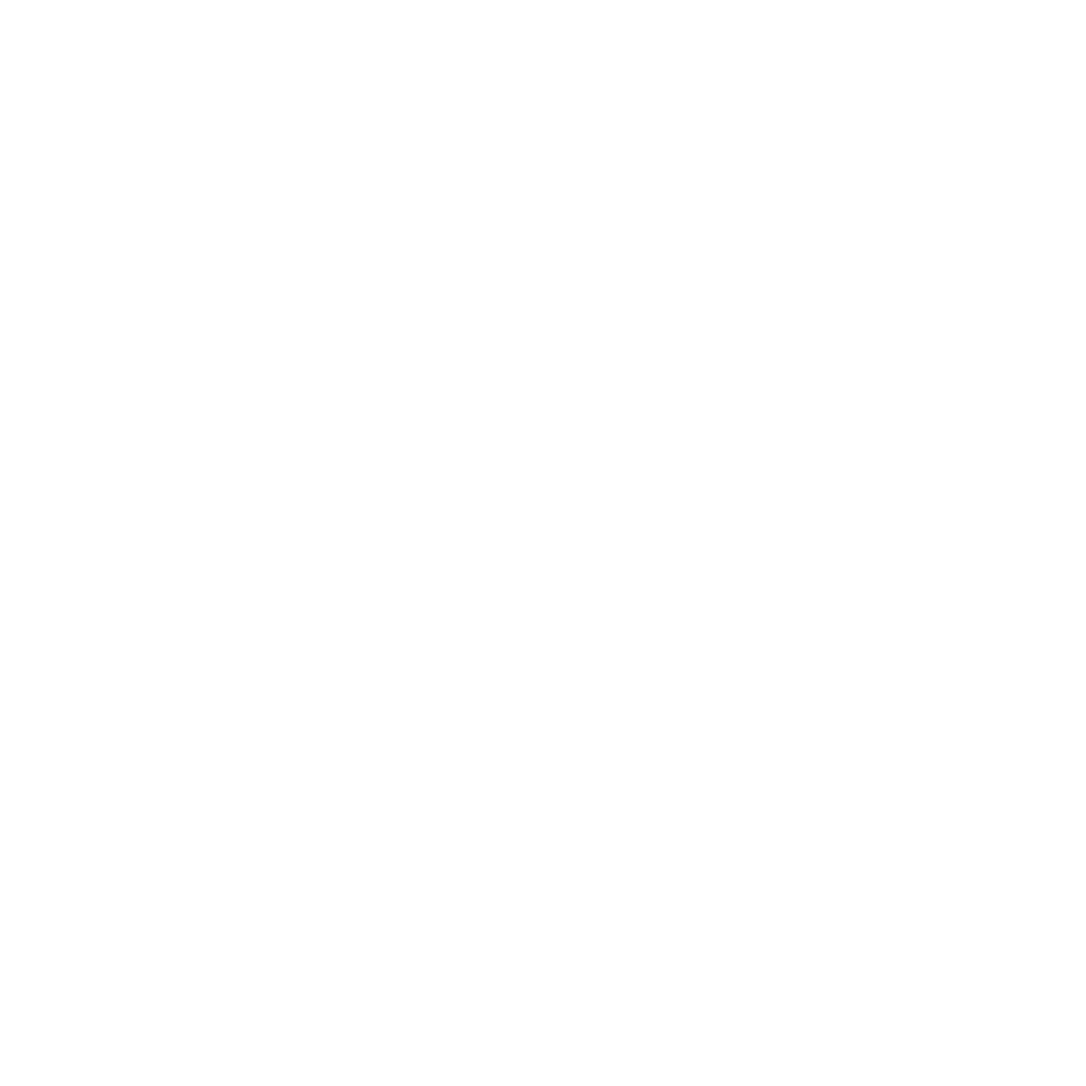 Das Logo für Koixia mit einem Partner auf grünem Hintergrund.