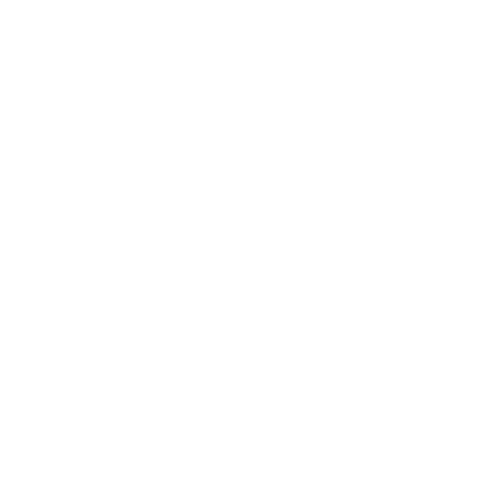 Logo des globalen Speicherverwaltungspartners Sep.